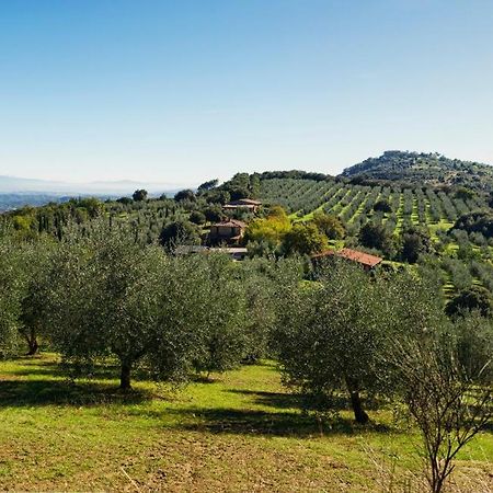 The Country House Montali Tavernelle  Exteriér fotografie