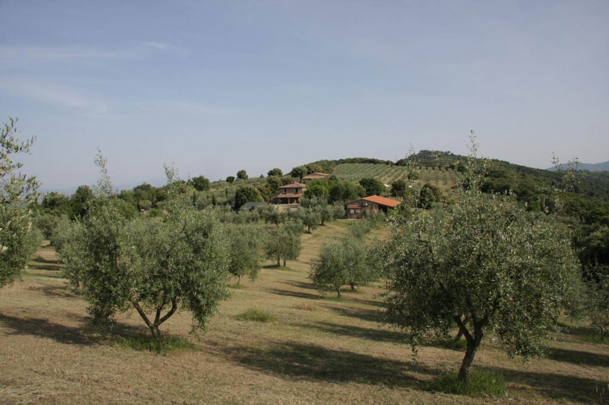 The Country House Montali Tavernelle  Exteriér fotografie