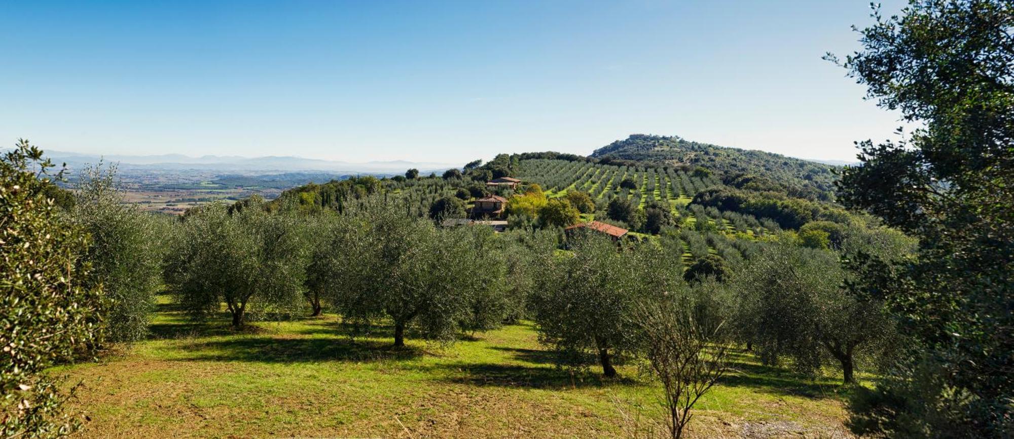 The Country House Montali Tavernelle  Exteriér fotografie