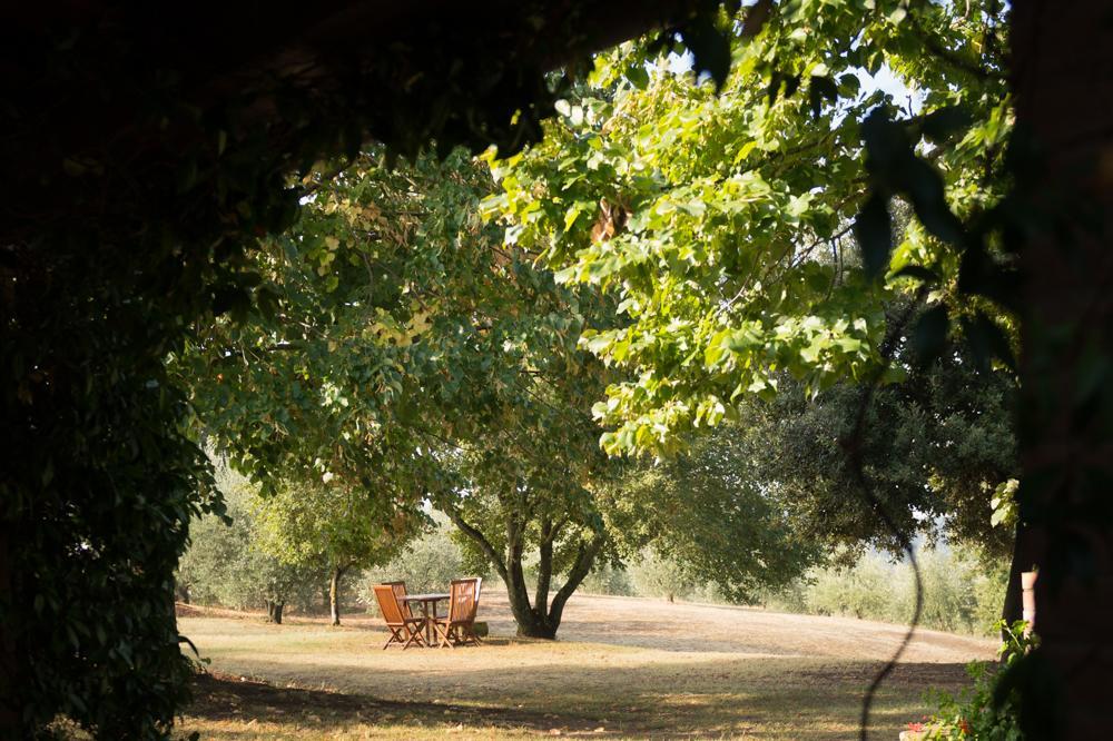 The Country House Montali Tavernelle  Exteriér fotografie
